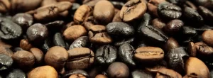 El Café Torrefacto