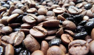 El Café Torrefacto