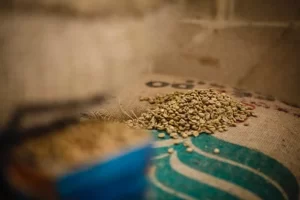 Origen del café