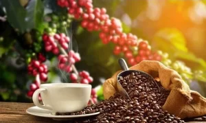 El Café Torrefacto
