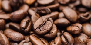 Comprar Café en Grano