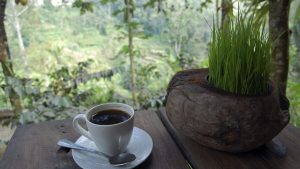 Descubre los múltiples usos del café