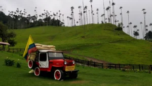 Descubre los secretos detrás del sabor inigualable del café del Quindío