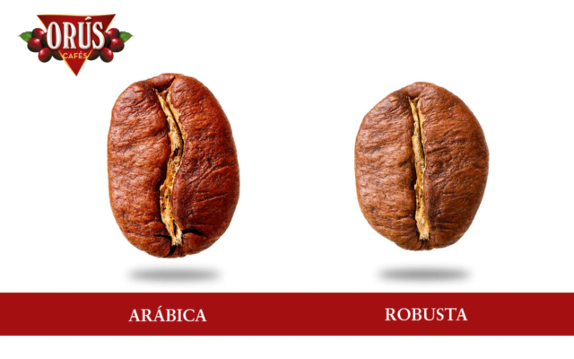 características únicas del Café Arábica