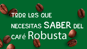 el café Robusta